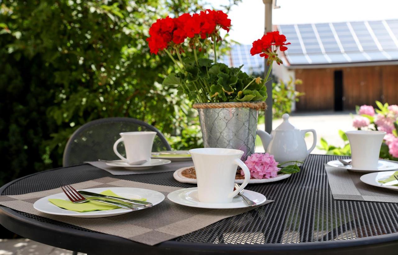 Lohauserhof - Biohof Und Hotel Rohrmoos 外观 照片
