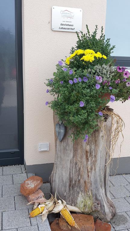 Lohauserhof - Biohof Und Hotel Rohrmoos 外观 照片